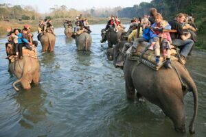 Chitwan Tour